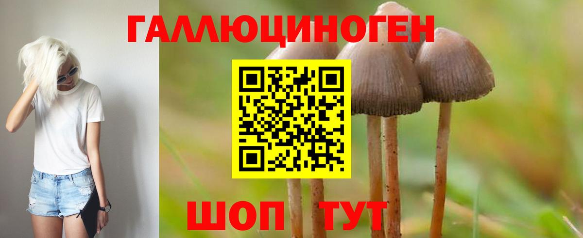 Псилоцибиновые грибы Cubensis  Галлюциногенные грибы мухоморы  Вход с VPN  Чайковский 