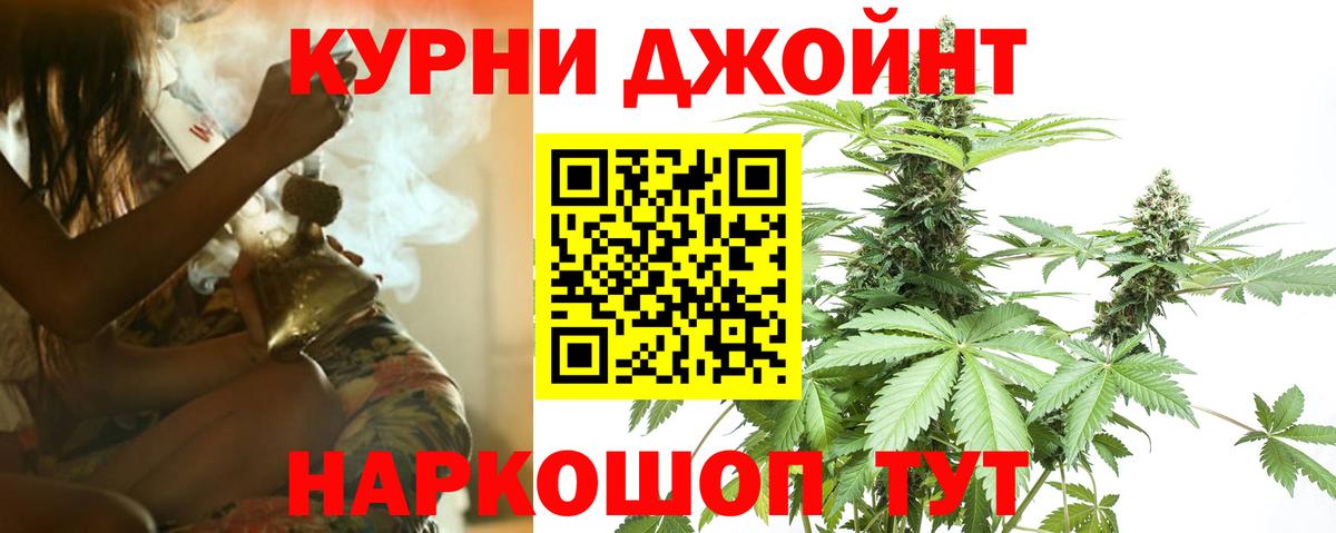 Канабис планчик Чайковский
